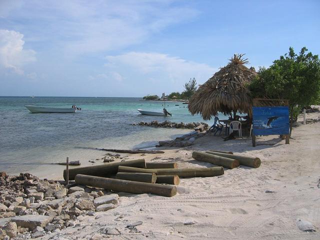 Utila